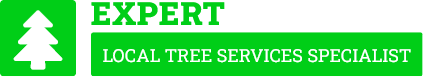 Porirua Tree Services - Tree Removal Porirua